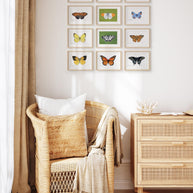 Butterfly Watercolor Print Set Choose Your Own Print Collection