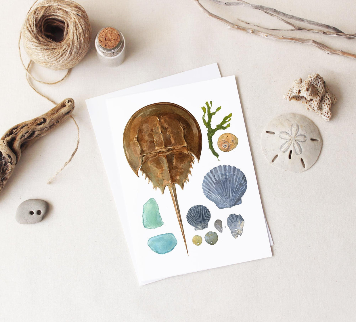 Beachcombing Card Set