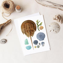 Beachcombing Card Set
