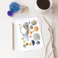 Beachcombing Card Set