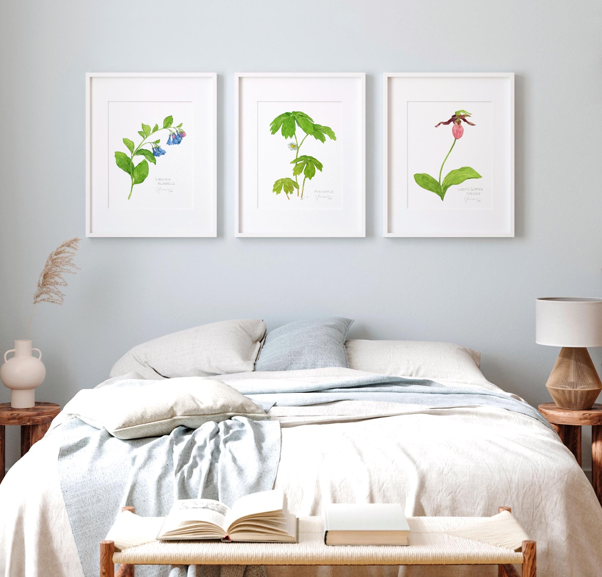 Lady's Slipper Orchid Print