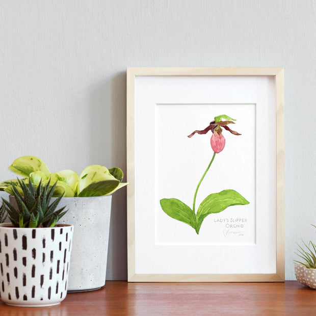 Lady's Slipper Orchid Print