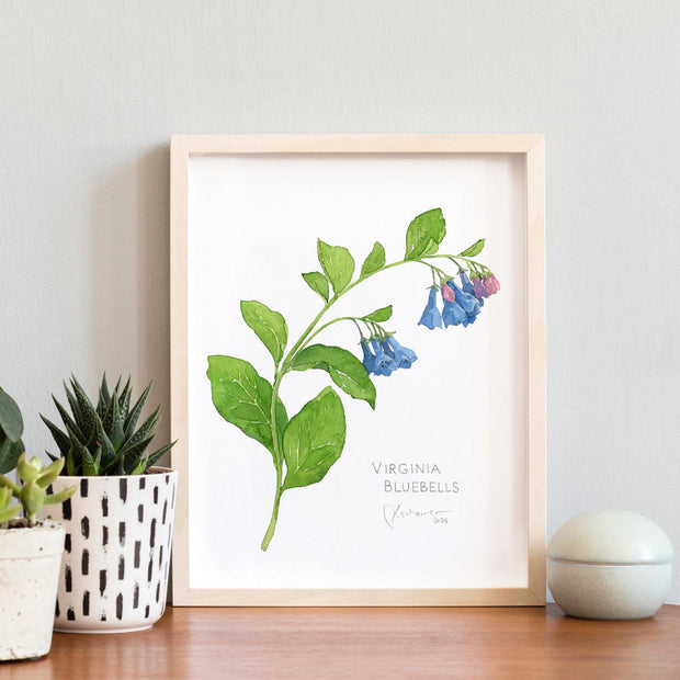 Virginia Bluebells Botanical Print