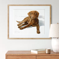 Chocolate Lab Print