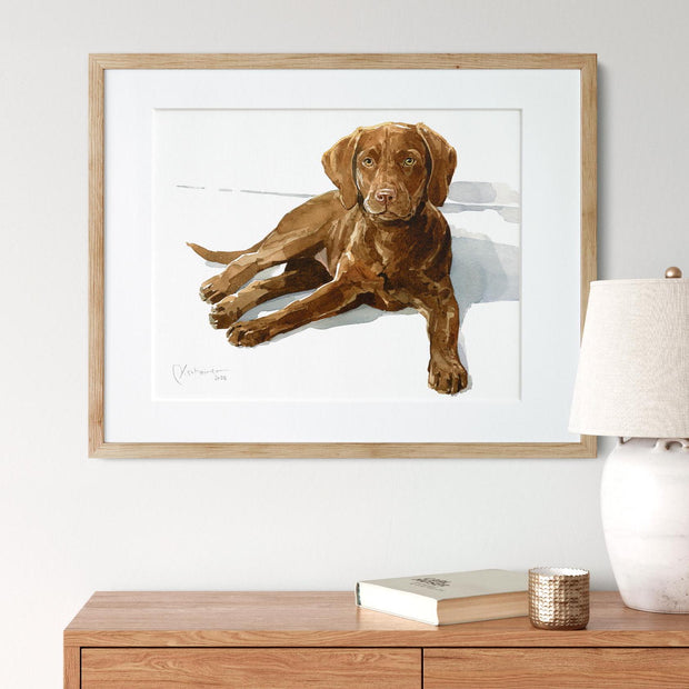 Chocolate Lab Print