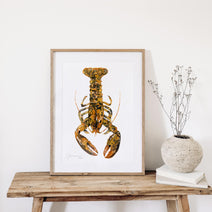 Rare Calico Lobster Print