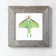 Luna Moth Print