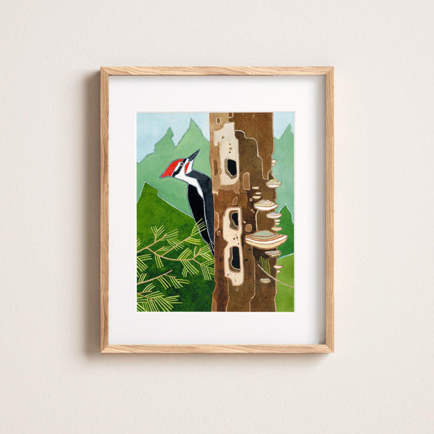 Pileated Woodpecker Print