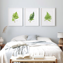 Christmas Fern Botanical Print