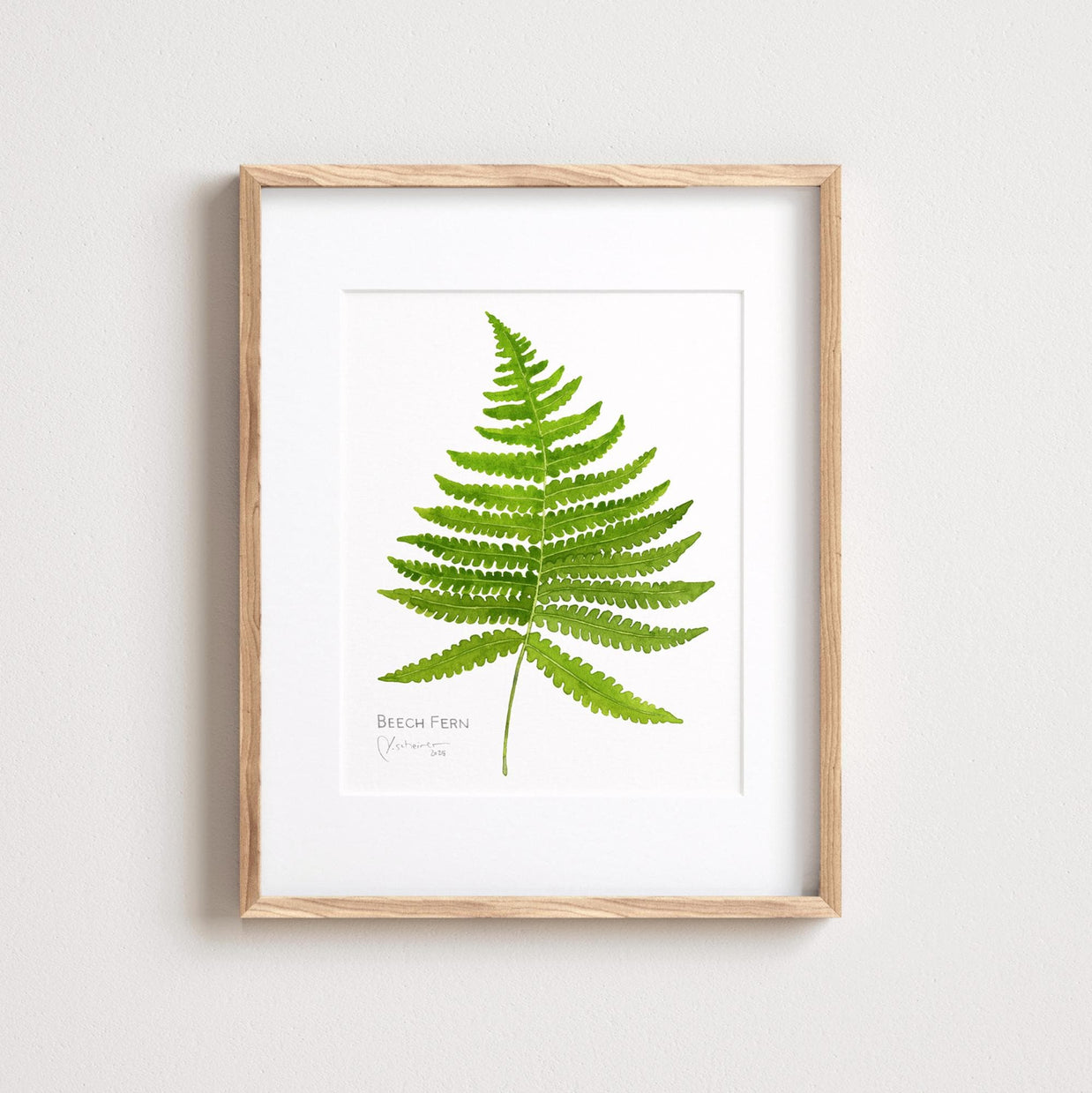 Beech Fern Botanical Print