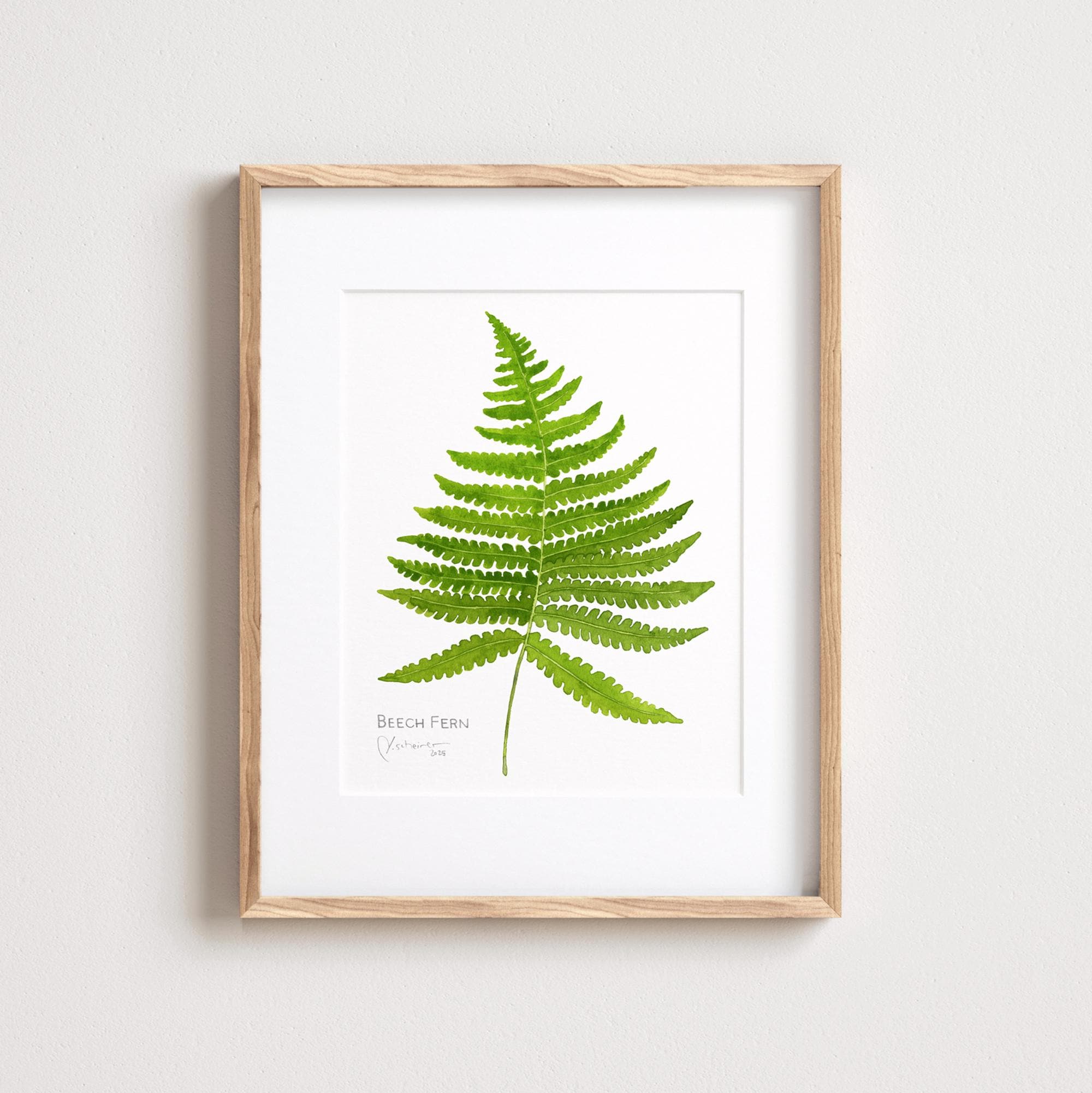Beech Fern Botanical Print