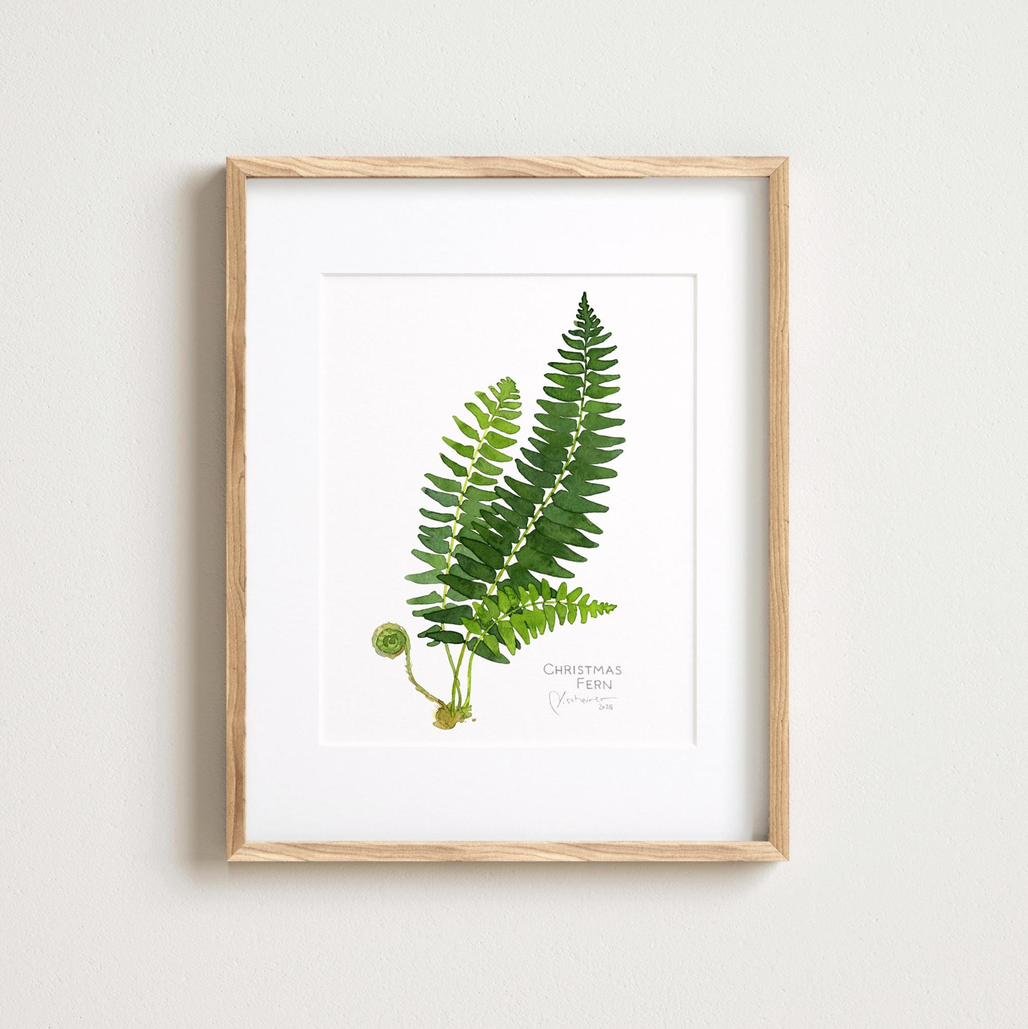 Christmas Fern Botanical Print