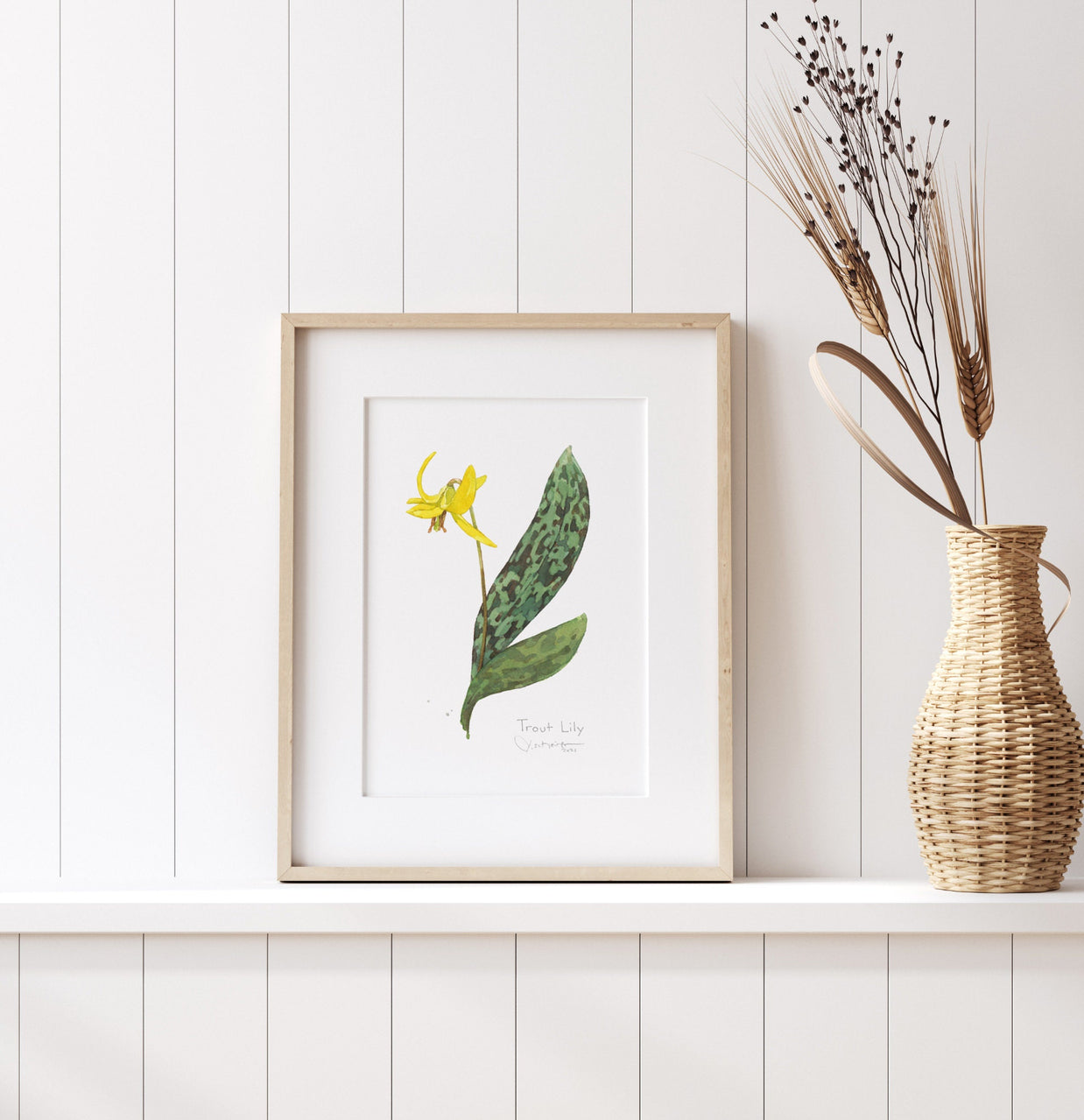 Trout Lily Print