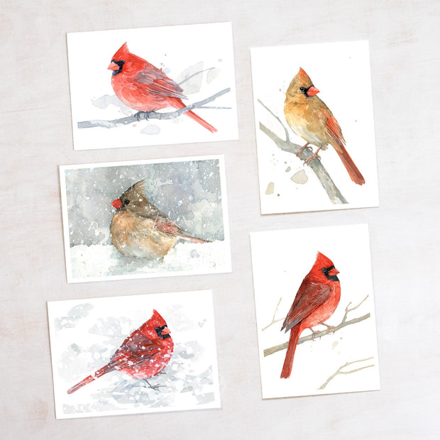 Cardinals Card Set