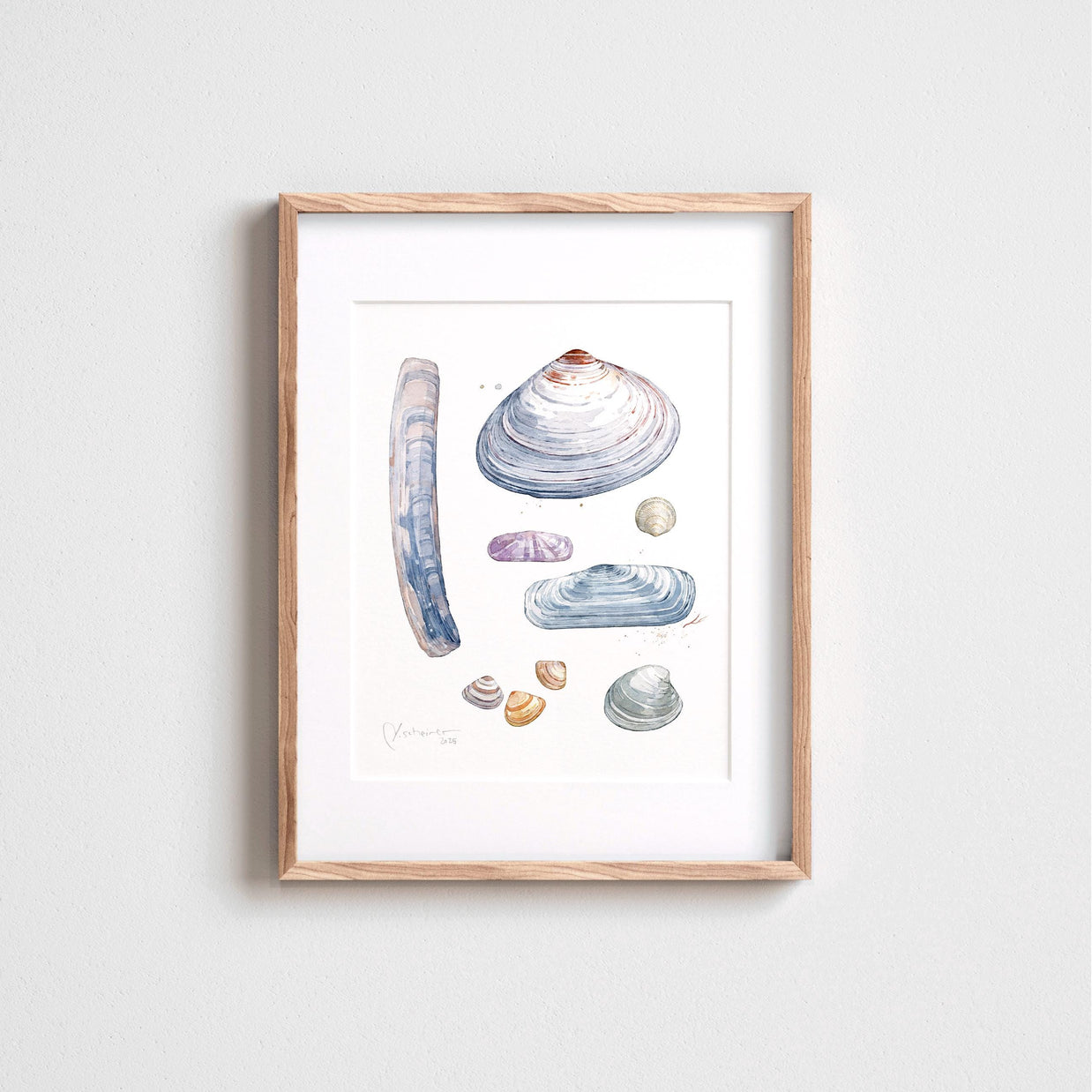 Clam Shells Print