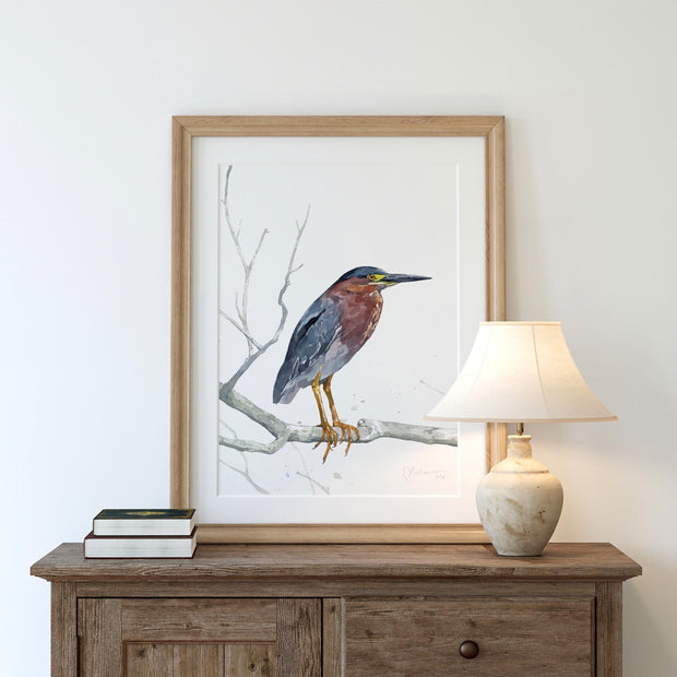 Green Heron Watercolor Print