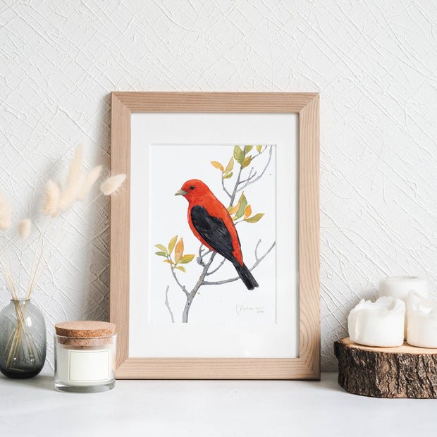 Scarlet Tanager Bird Print