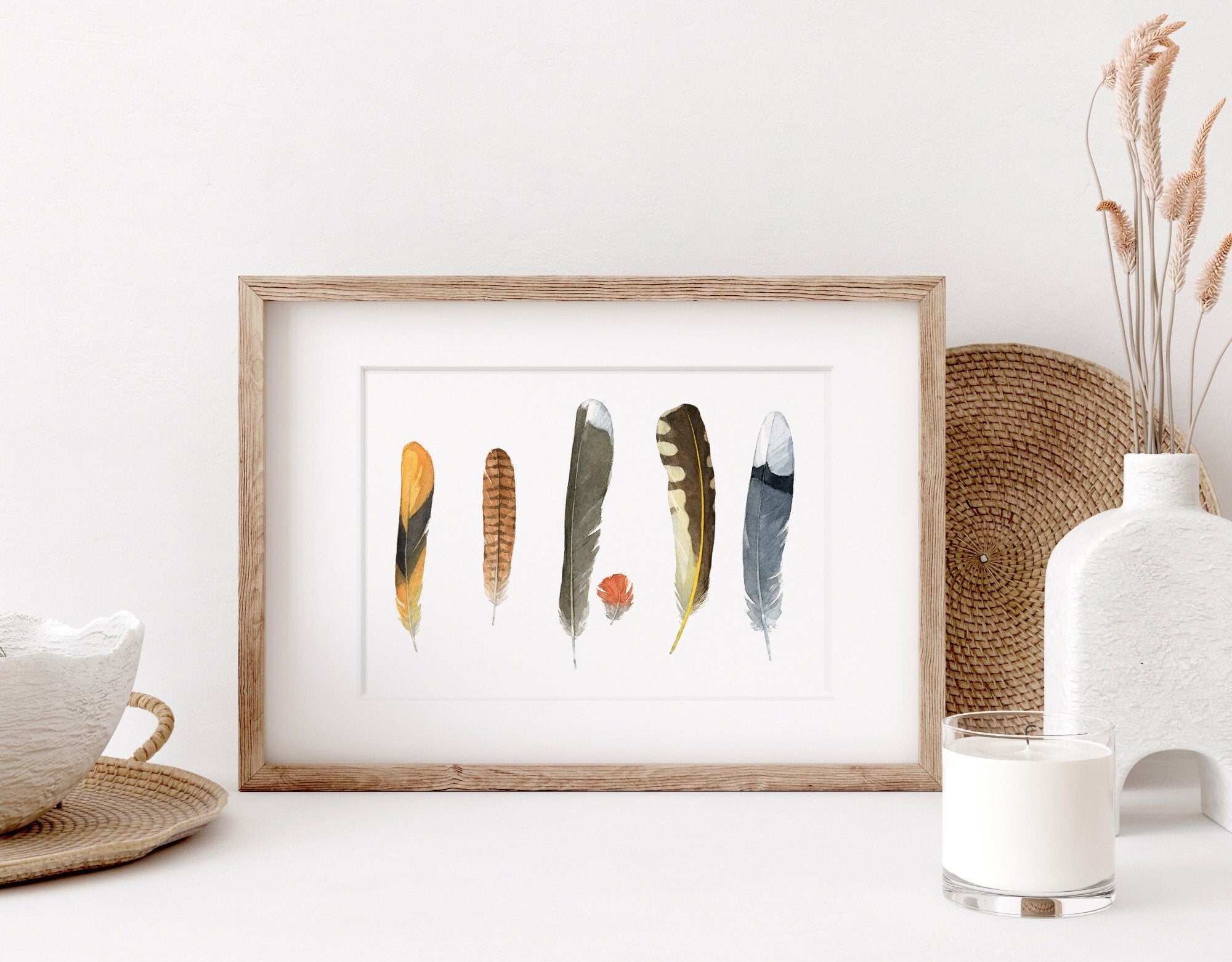 Backyard Bird Feathers Print