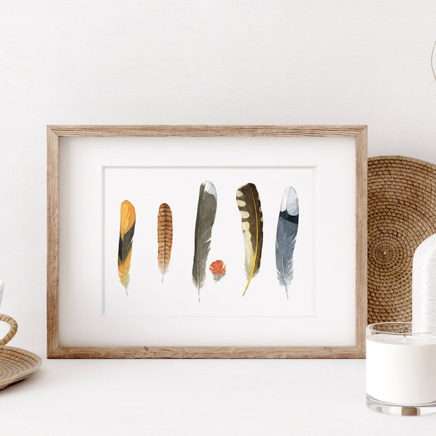 Backyard Bird Feathers Print