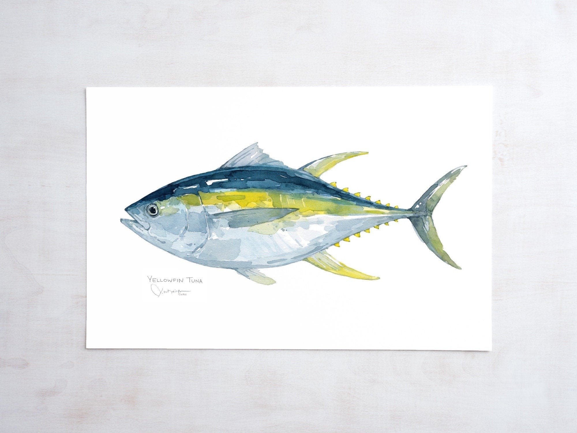 Yellowfin Tuna Print