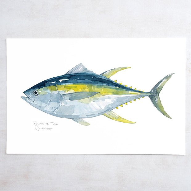 Yellowfin Tuna Print