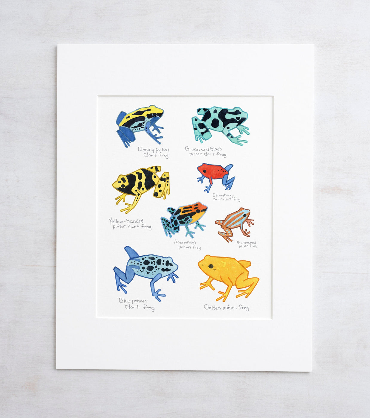 Poison Dart Frog Chart Print