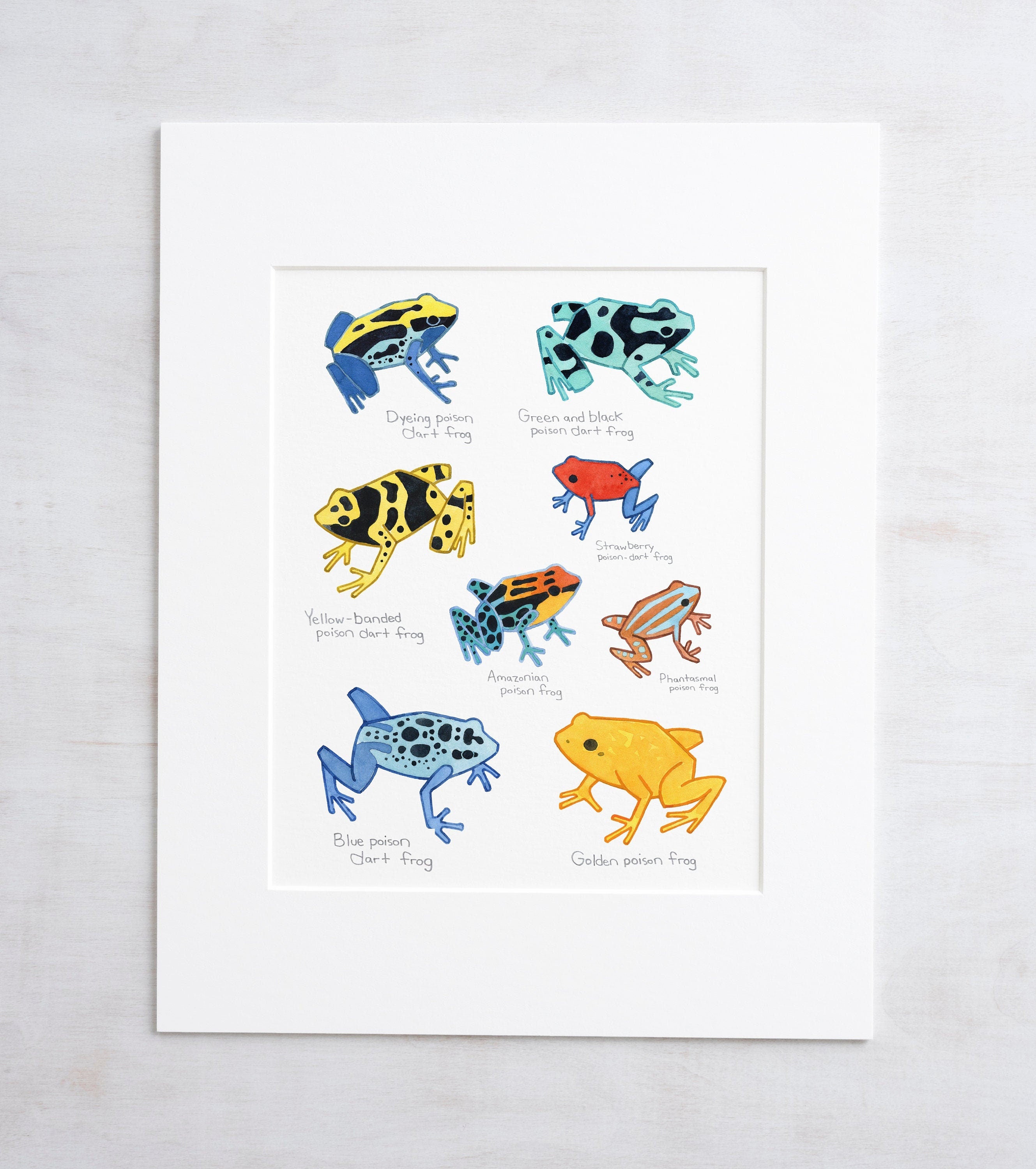 Poison Dart Frog Chart Print