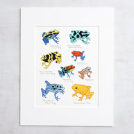 Poison Dart Frog Chart Print