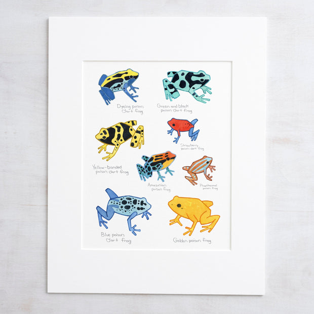 Poison Dart Frog Chart Print