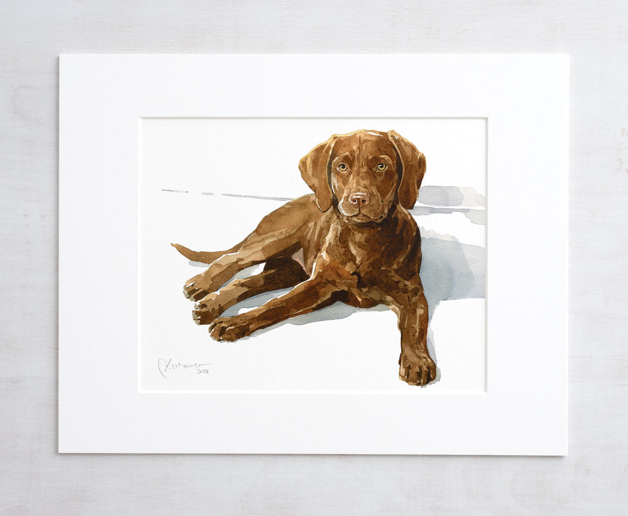 Chocolate Lab Print