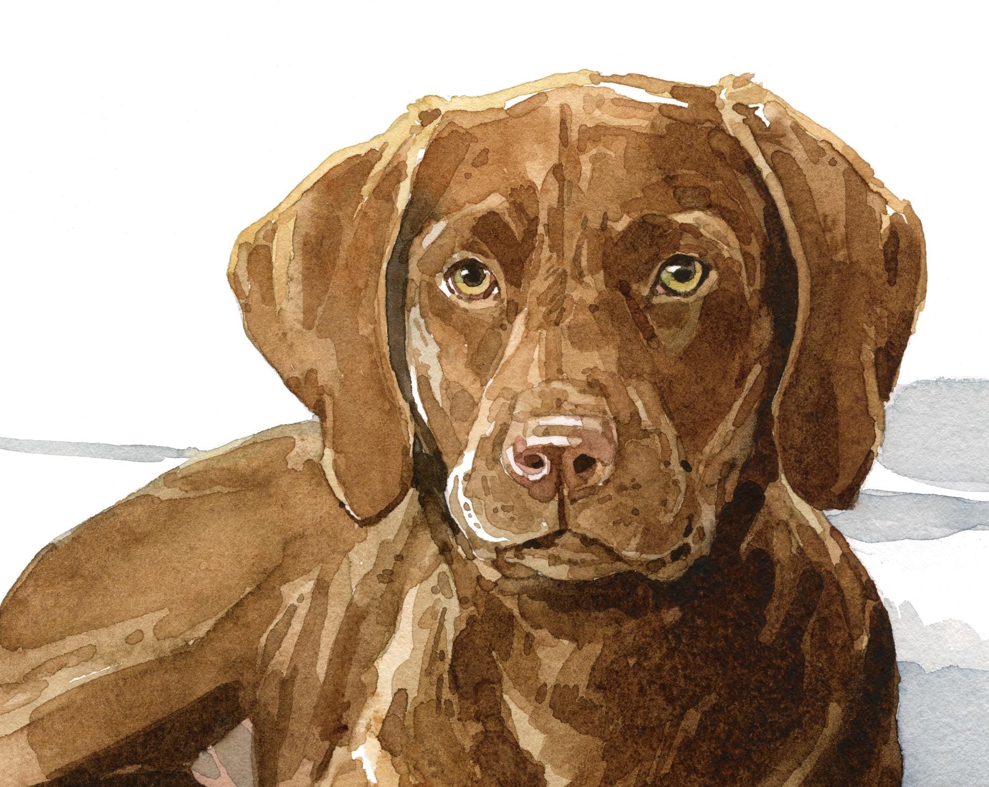 Chocolate Lab Print