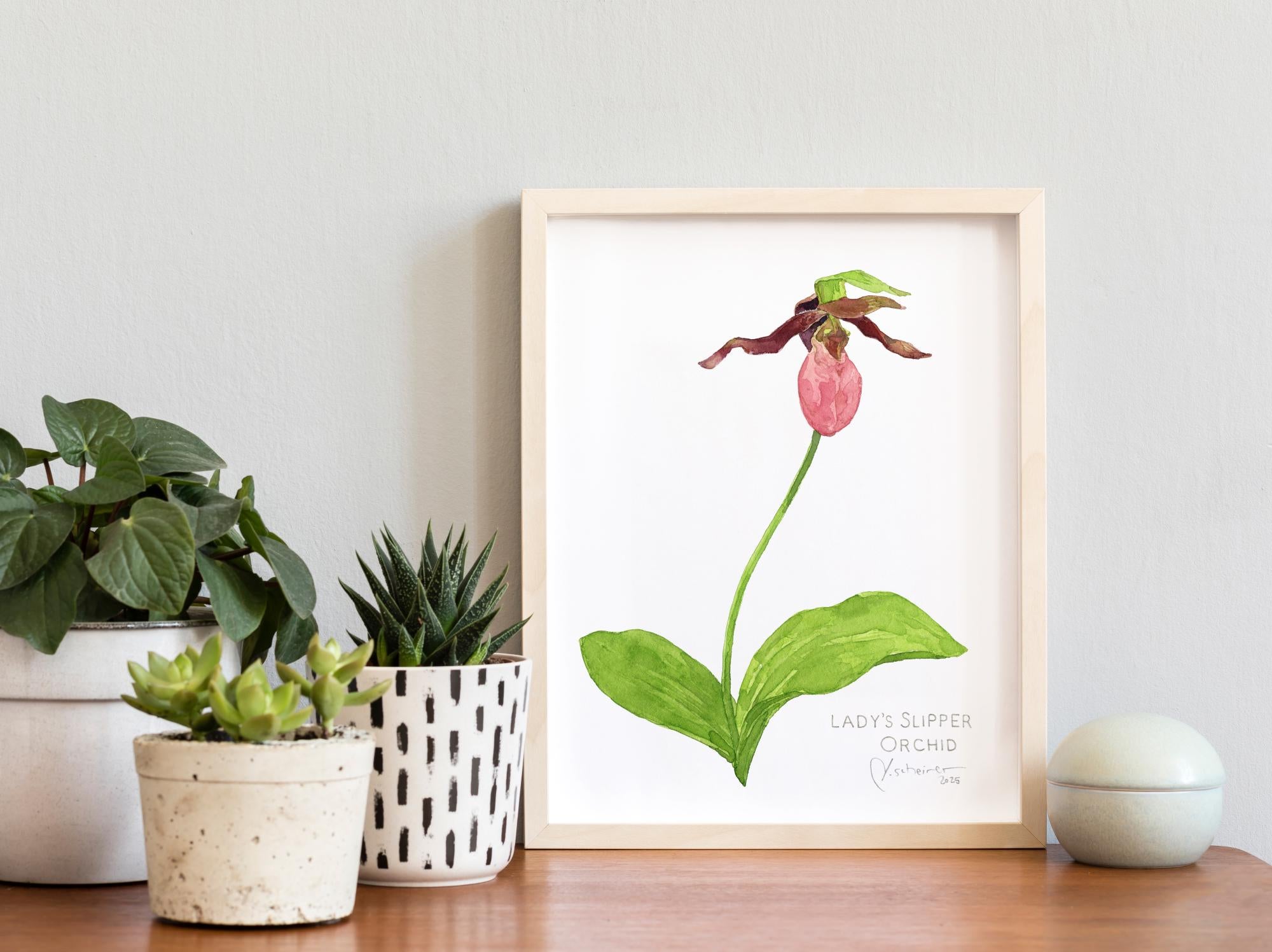 Lady's Slipper Orchid Print