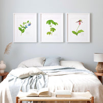 Mayapple Watercolor Print