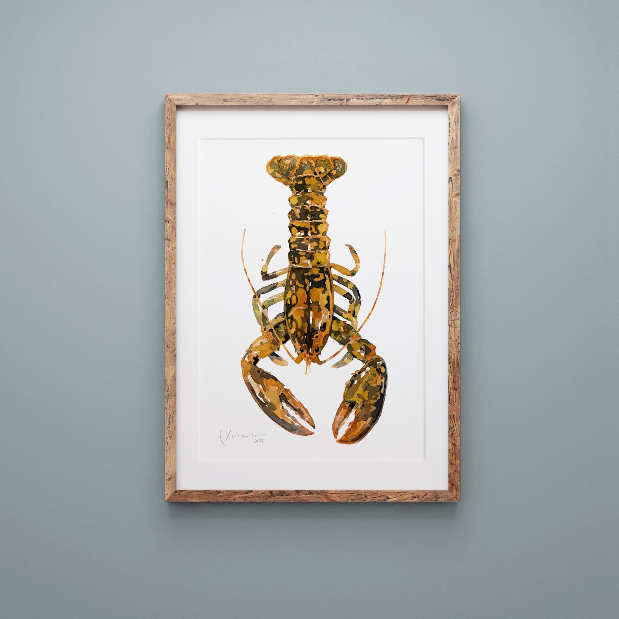 Rare Calico Lobster Print