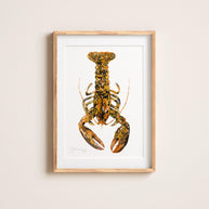 Rare Calico Lobster Print