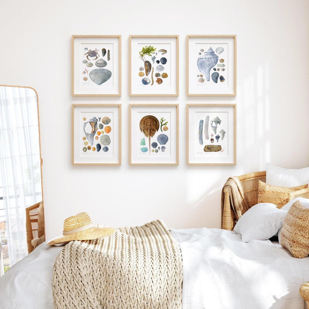 Beachcombing Shells Watercolor Print Set