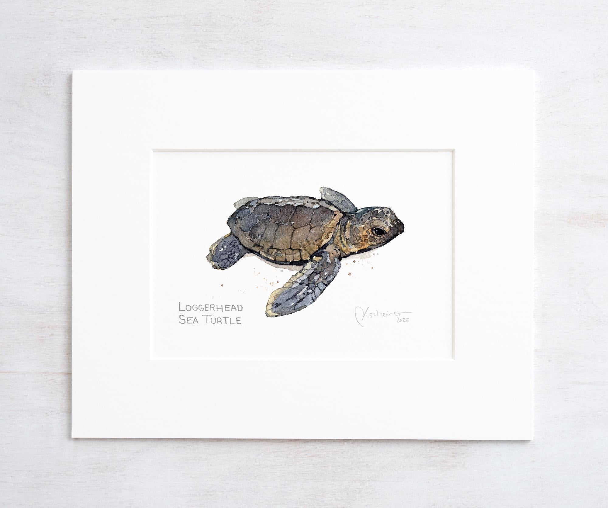 Loggerhead Sea Turtle Print