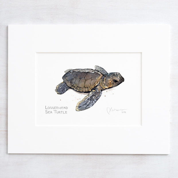 Loggerhead Sea Turtle Print