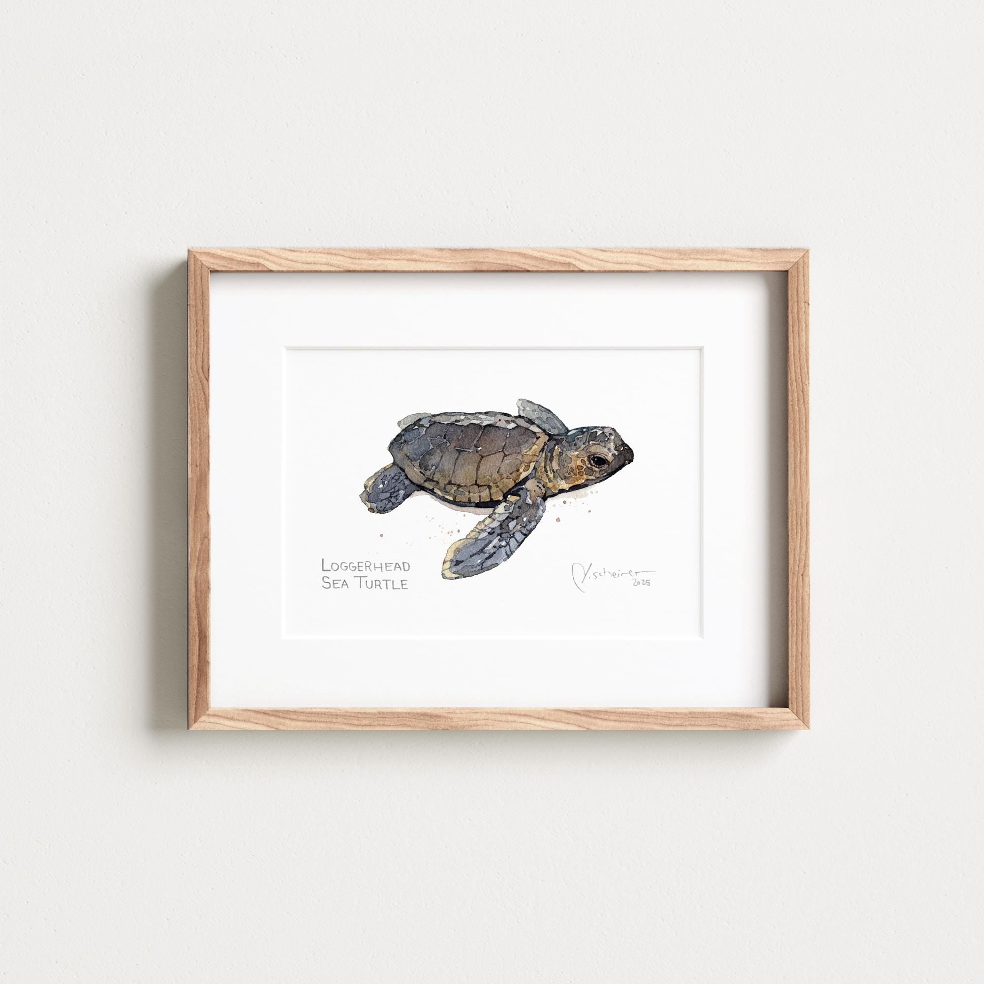 Loggerhead Sea Turtle Print