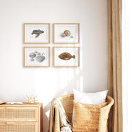 Moon Snail Shells Watercolor Painting: Beach Art Print
