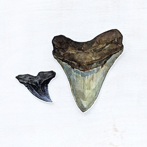 Shark Teeth Sticker Set