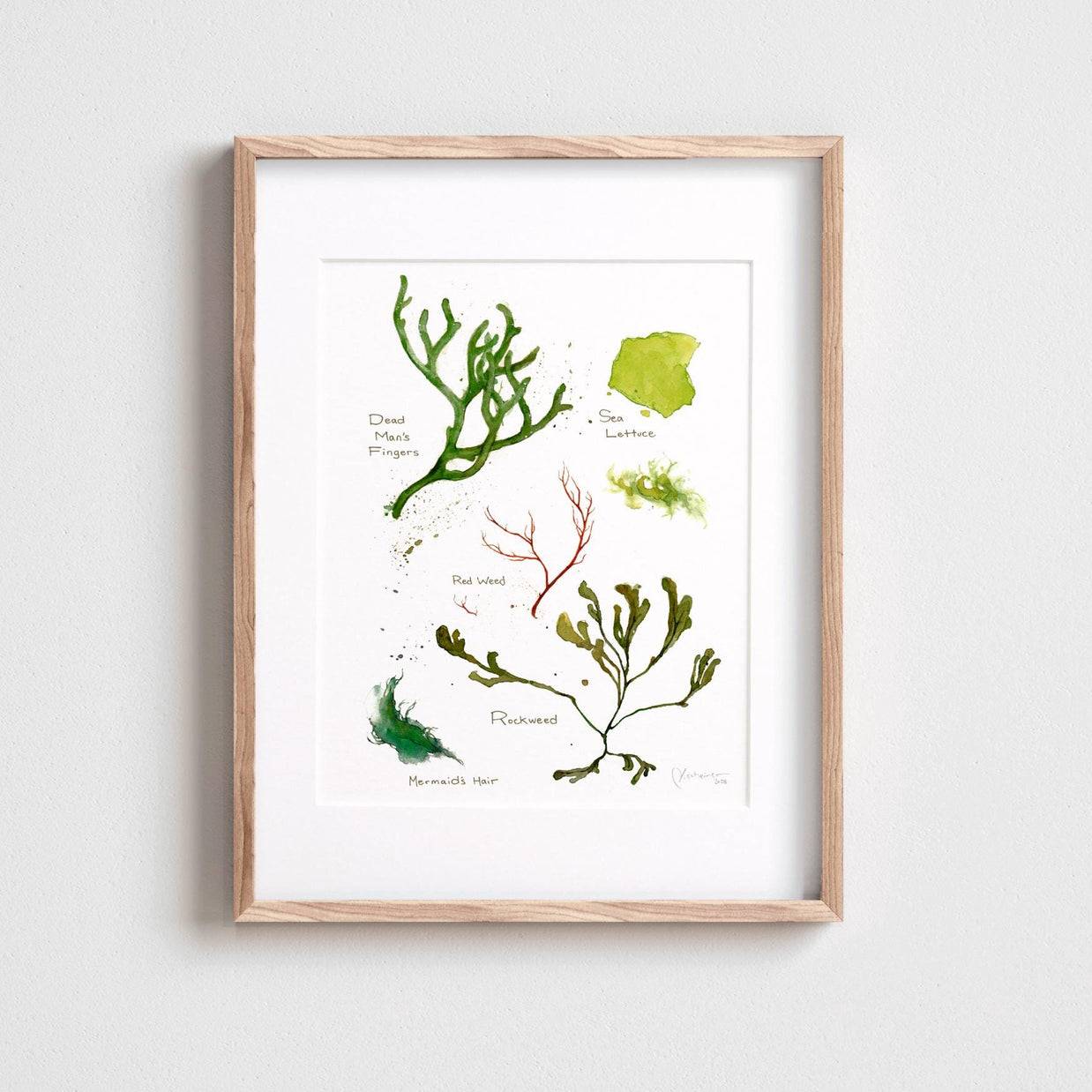Seaweed Botanical Print