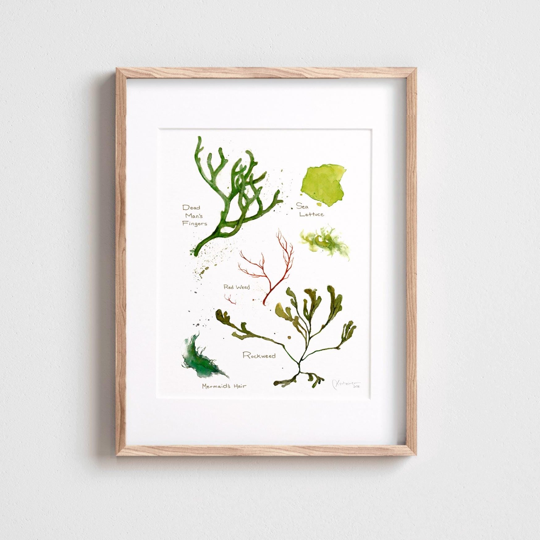 Seaweed Botanical Print