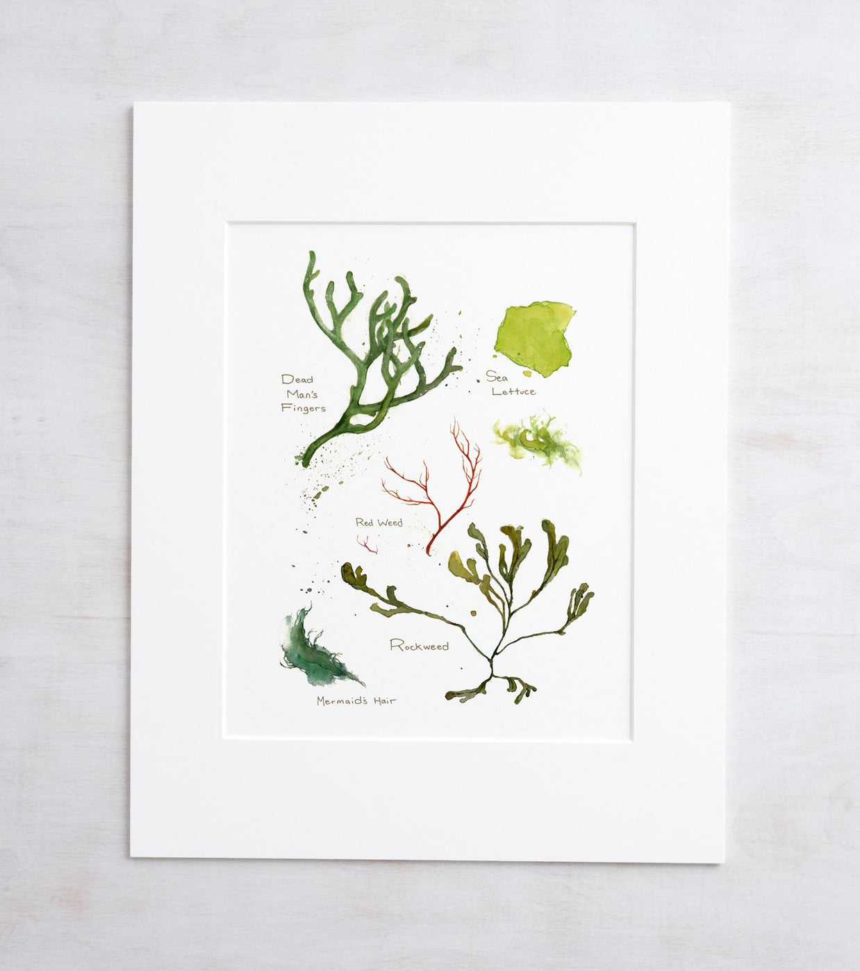 Seaweed Botanical Print