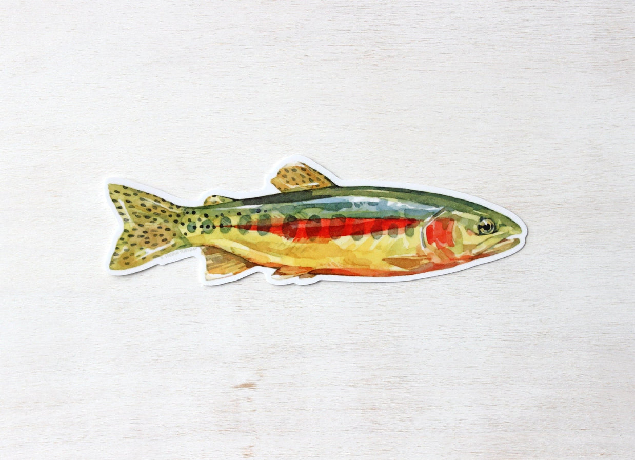 Golden Trout Sticker: Waterproof Vinyl Flyfishing Decal