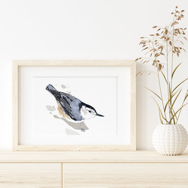 Nuthatch Print