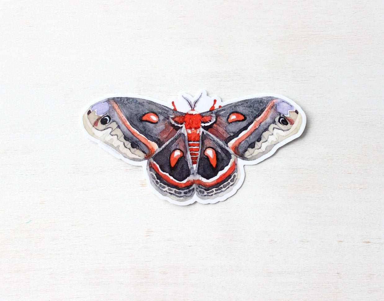 Cecropia Moth Sticker: Waterproof Vinyl Insect Art Decal