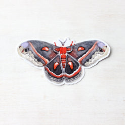 Cecropia Moth Sticker: Waterproof Vinyl Insect Art Decal