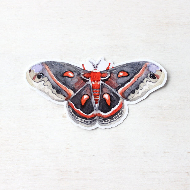 Cecropia Moth Sticker: Waterproof Vinyl Insect Art Decal