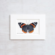 Butterfly Watercolor Print Set Choose Your Own Print Collection